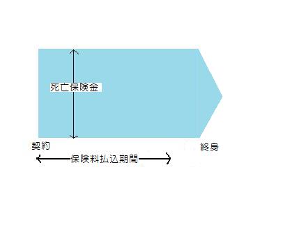 終身保険　略図