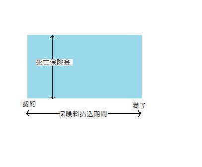 定期保険　略図