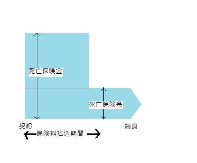 定期保険特約付終身保険　略図