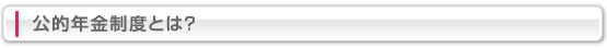 公的年金制度とは？