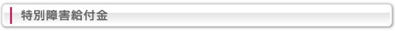 特別障害給付金